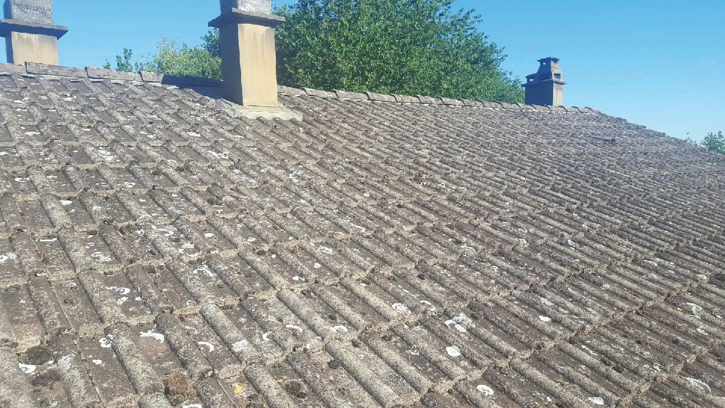 before-image