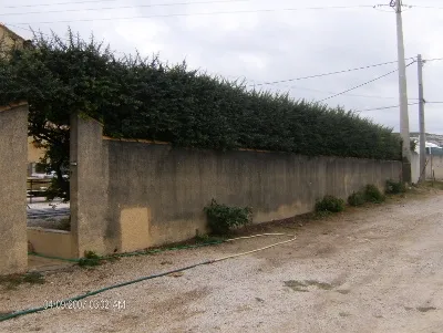 before-image