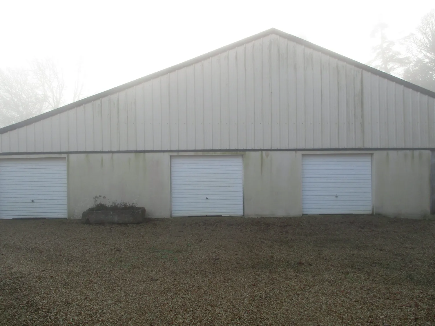 before-image