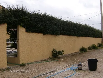after-image