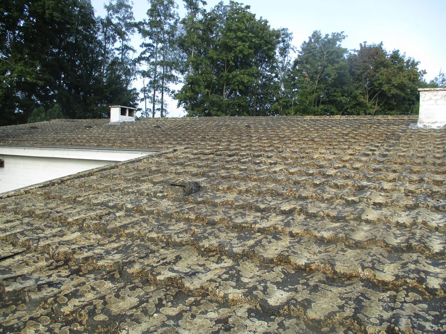 before-image